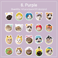 6. Púrpura