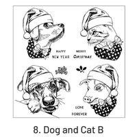 8.Dog and Cat B