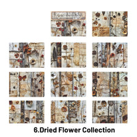 6.Dried Flower Collection