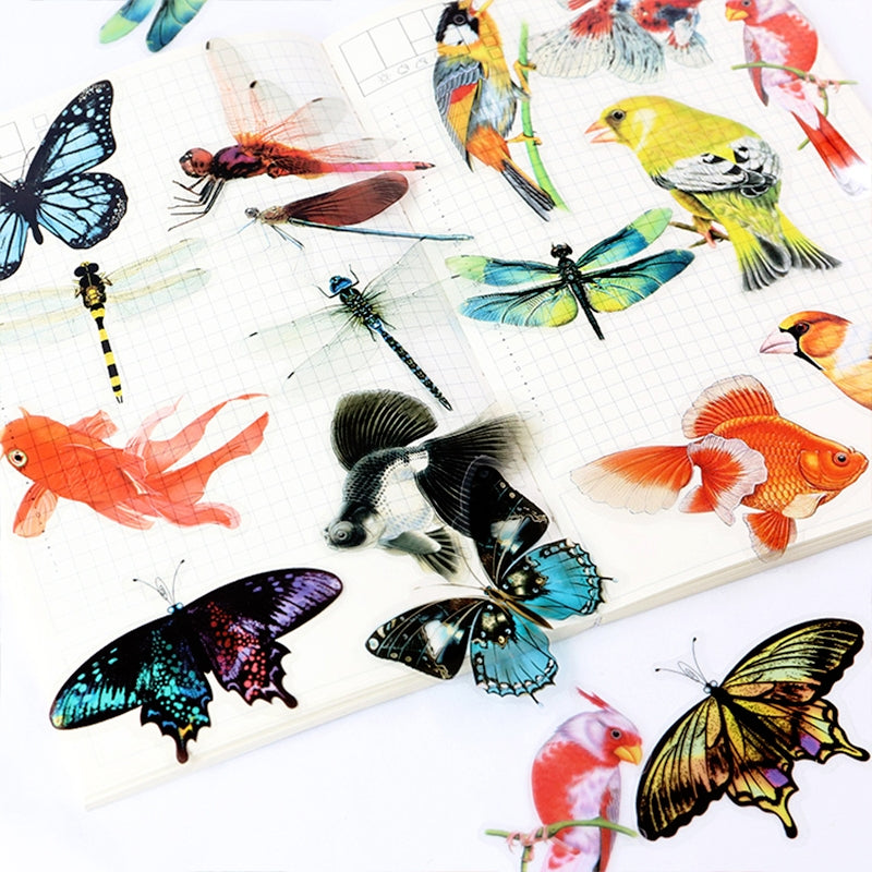 Creative Butterfly Dragonfly Decorative PET Stickers b