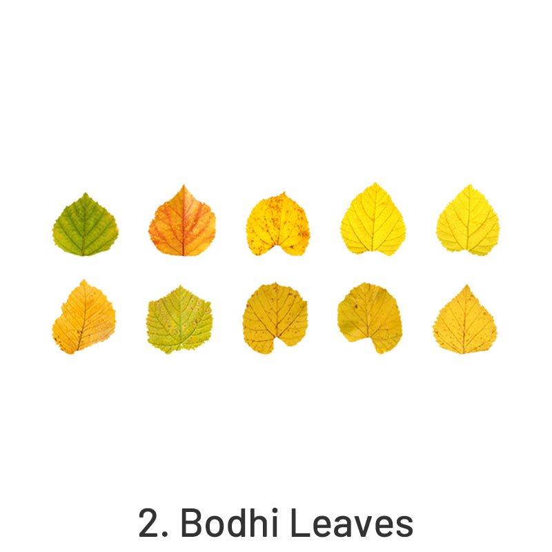 Creative Fallen Leaves Decorative Washi Tape Sticker sku-2
