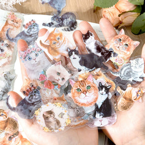 Cute Cartoon Hand-Painted Cat PET Sticker Pack b2