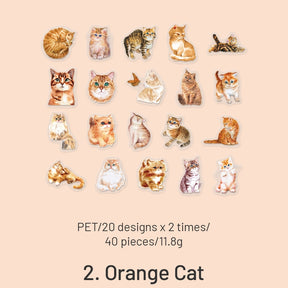 Cute Cartoon Hand-Painted Cat PET Sticker Pack sku-2