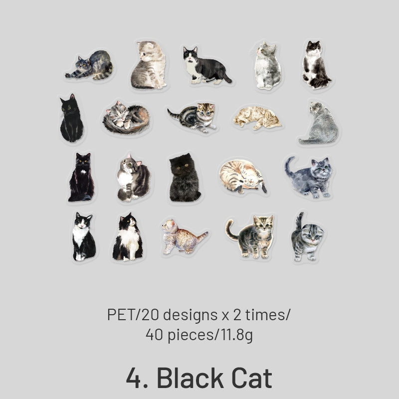 Black Cat sticker pack