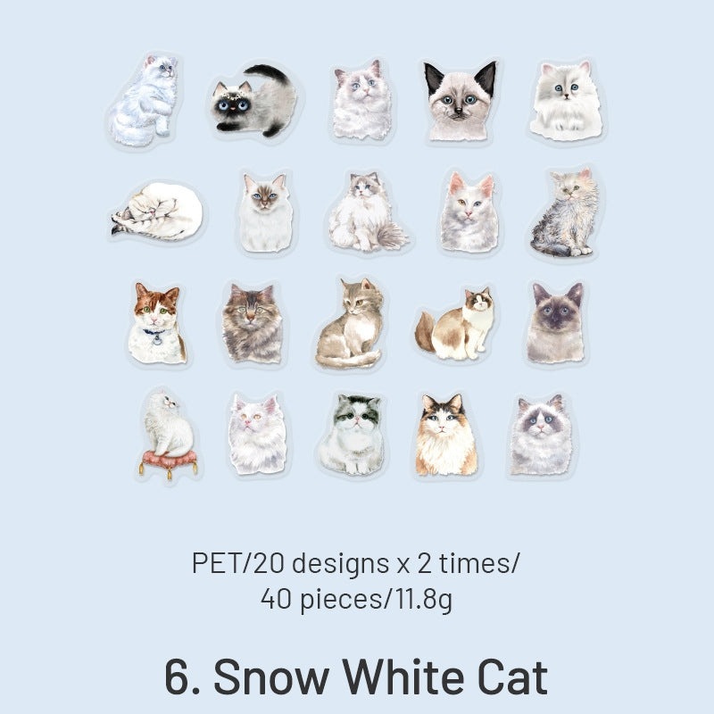 Cute Cartoon Hand-Painted Cat PET Sticker Pack sku-6