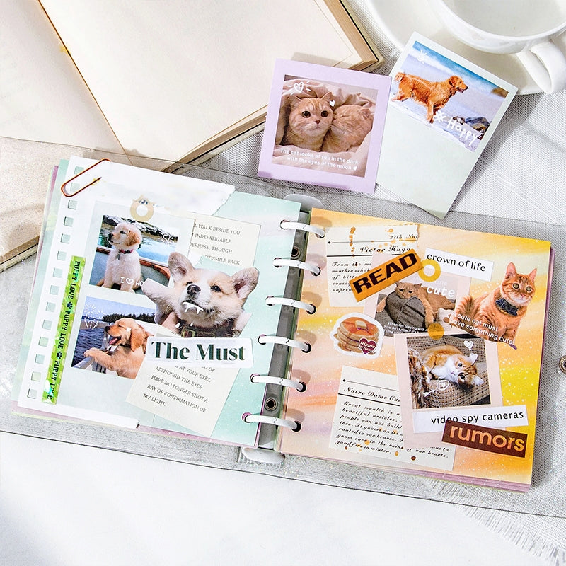 Cute Pet Photo Stickers - Cats, Dogs b2