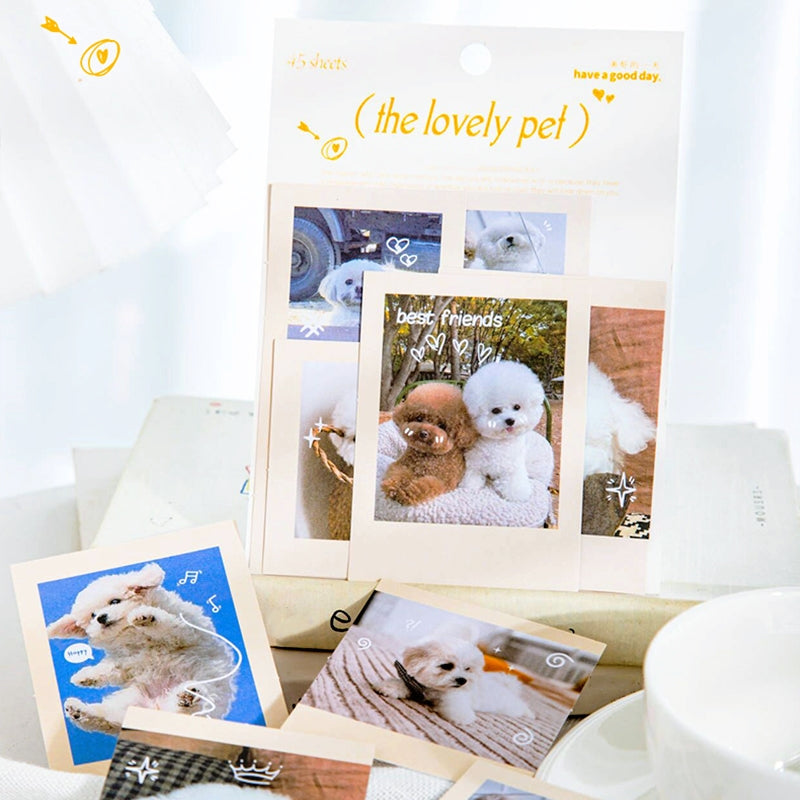 Cute Pet Photo Stickers - Cats, Dogs b5