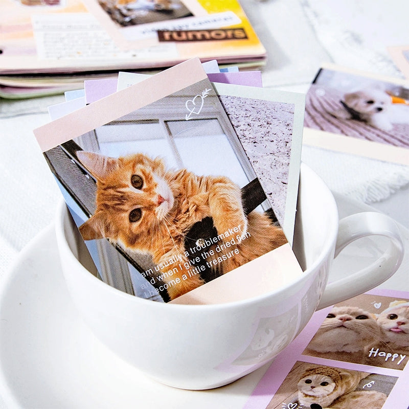Cute Pet Photo Stickers - Cats, Dogs b6
