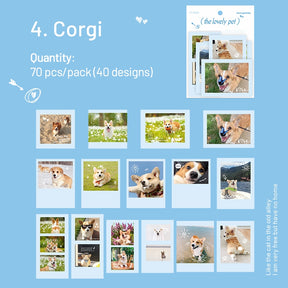 Cute Pet Photo Stickers - Cats, Dogs sku-4