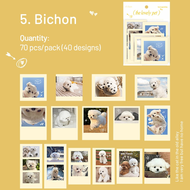 Cute Pet Photo Stickers - Cats, Dogs sku-5