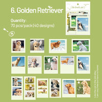 6. Golden Retriever