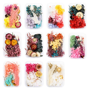 Decorative Boxed Dried Preserved Flowers a