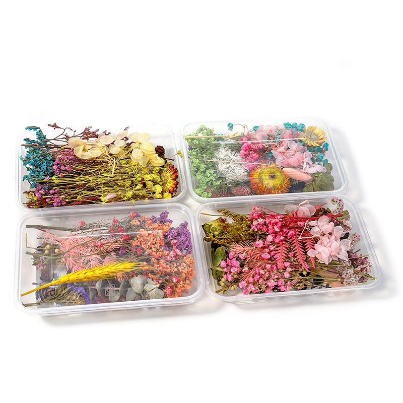 Decorative Boxed Dried Preserved Flowers b2