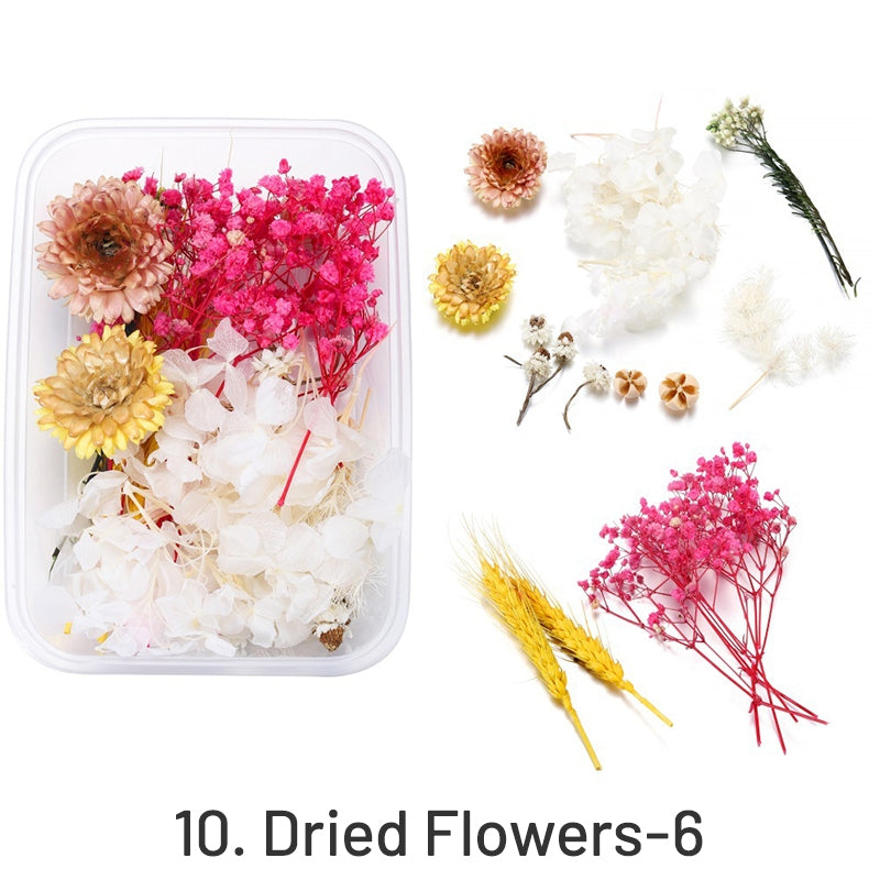 Decorative Boxed Dried Preserved Flowers sku-10