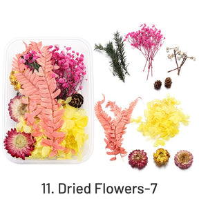Decorative Boxed Dried Preserved Flowers sku-11