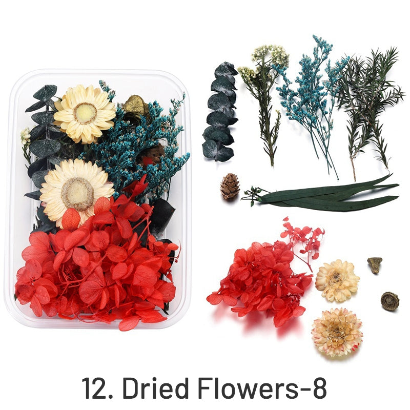 Decorative Boxed Dried Preserved Flowers sku-12