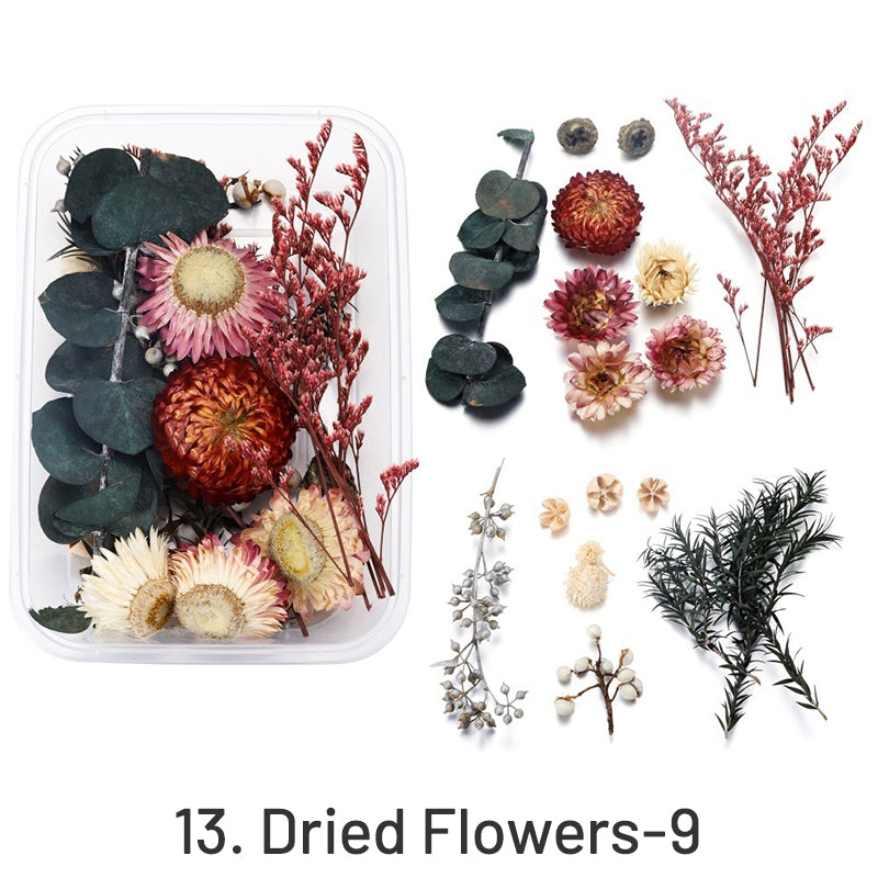 Decorative Boxed Dried Preserved Flowers sku-13