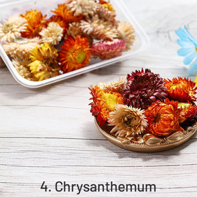 Decorative Boxed Dried Preserved Flowers sku-4