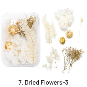 Decorative Boxed Dried Preserved Flowers sku-7