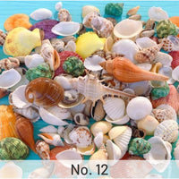 No. 12：Supplement
