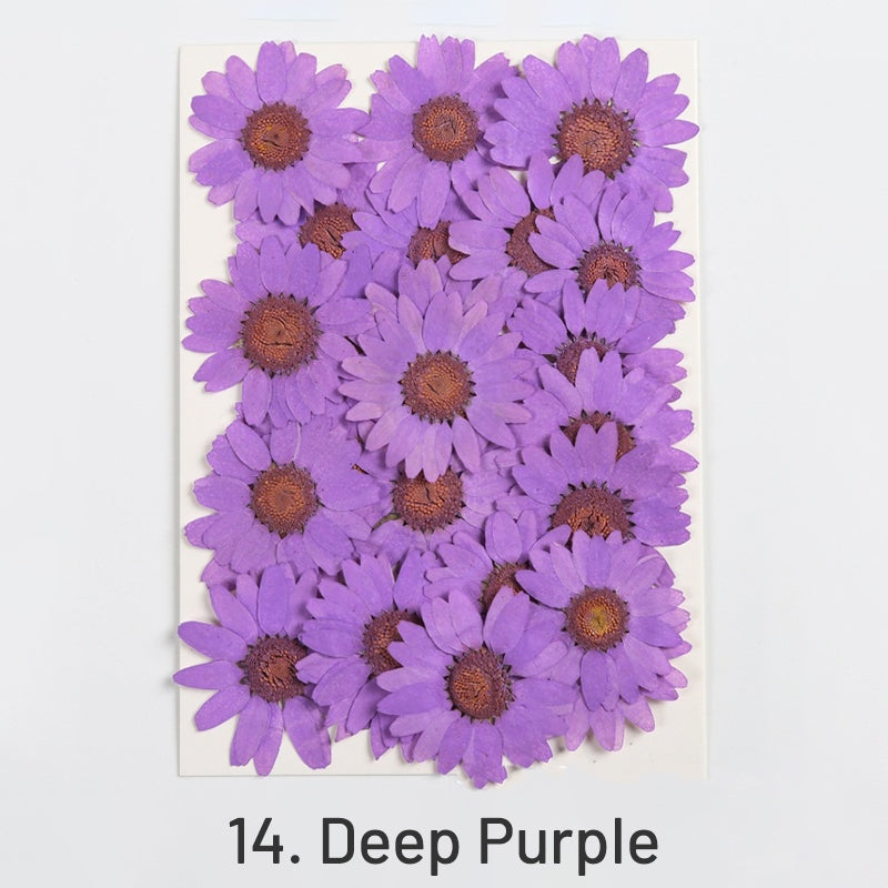 Dried Chrysanthemum Flower Embossed DIY Plant Specimen sku-14
