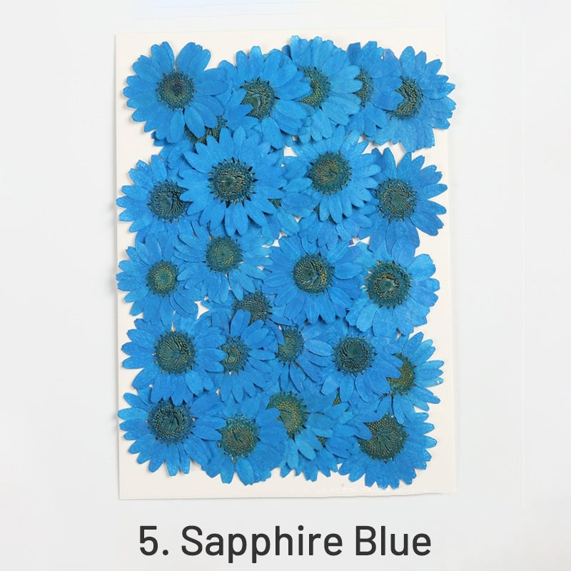 Dried Chrysanthemum Flower Embossed DIY Plant Specimen sku-5