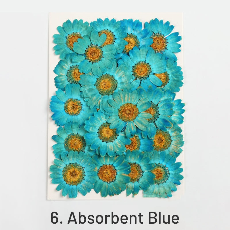 Dried Chrysanthemum Flower Embossed DIY Plant Specimen sku-6