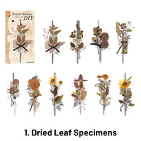 1. Muestras de hojas secas