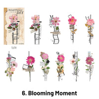 6. Momento floreciente