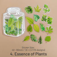 4. Essence of Plants