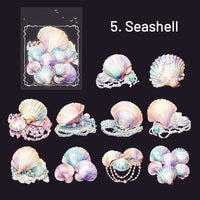 5.Seashell
