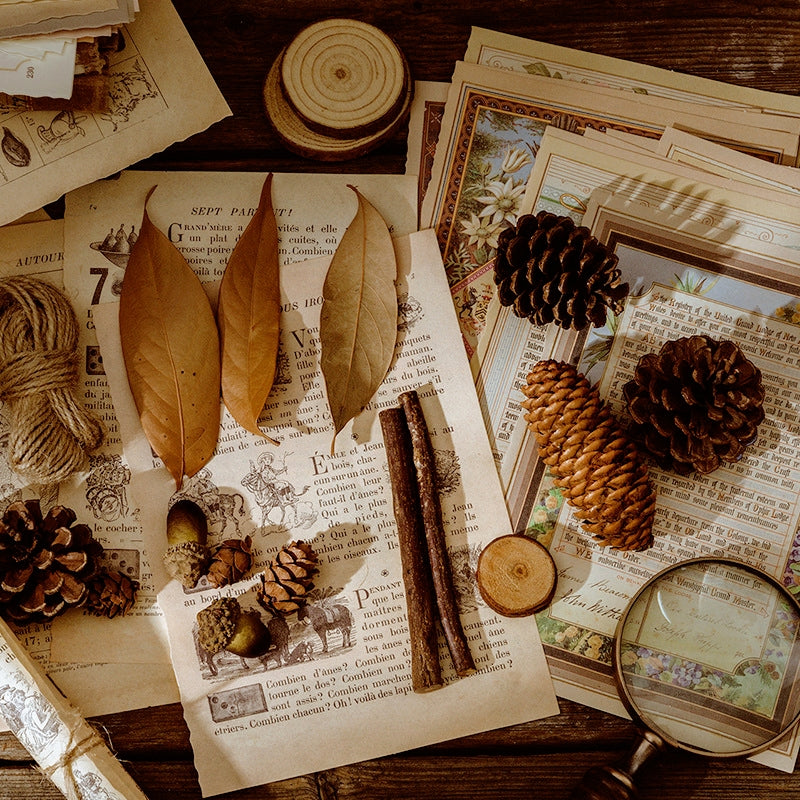 Fairy Tale World Antique Picture Book Page Scrapbook Paper b2