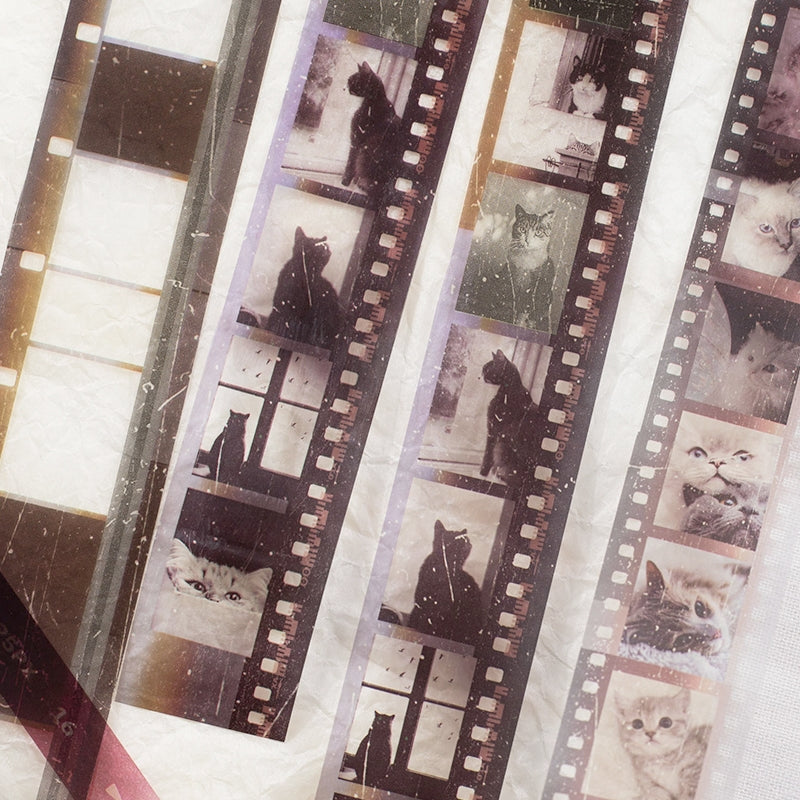 Film PET Tape Set (10 rolls) - Scenery, Winter, Autumn, Cat b3