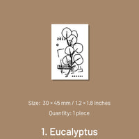 1. Eucalyptus