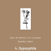 4. Gypsophila