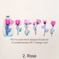 2. Rosa
