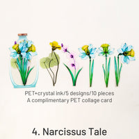 4. Conto do Narciso