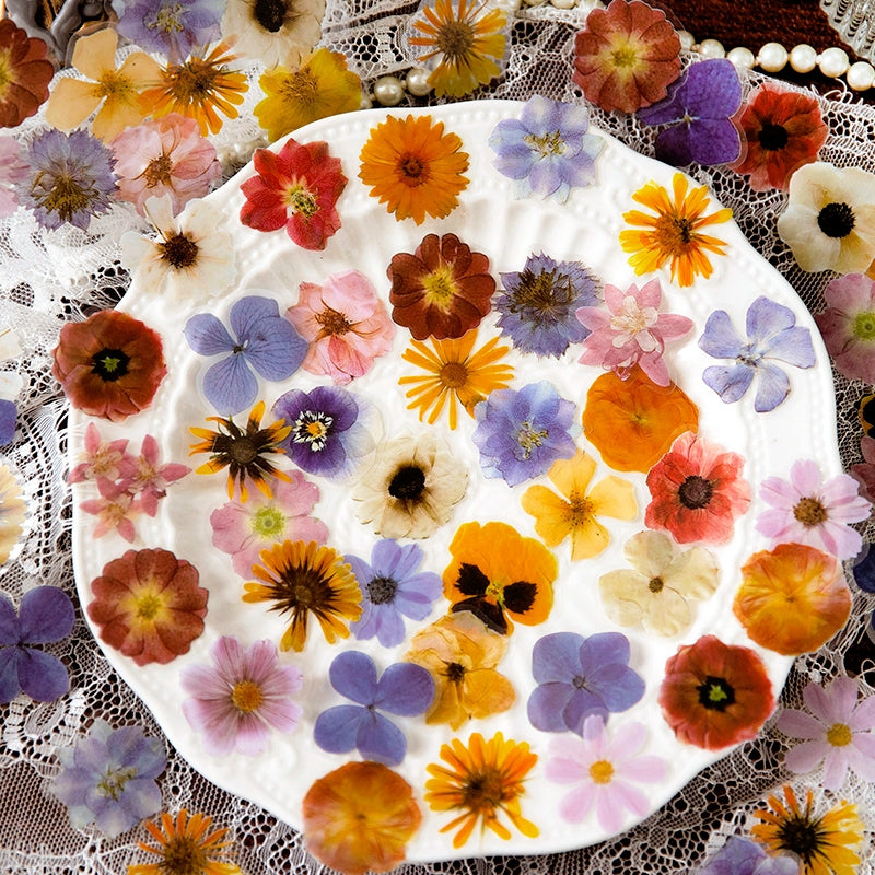 Flower PET Stickers - Rose, Hydrangea, Sunflower, Tulip b