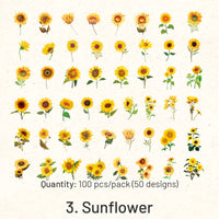 3. Sonnenblume