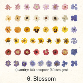 Flower PET Stickers - Rose, Hydrangea, Sunflower, Tulip sku-6