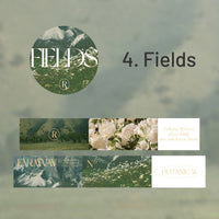 4. Fields