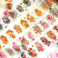 5. Complete Set (10% OFF)