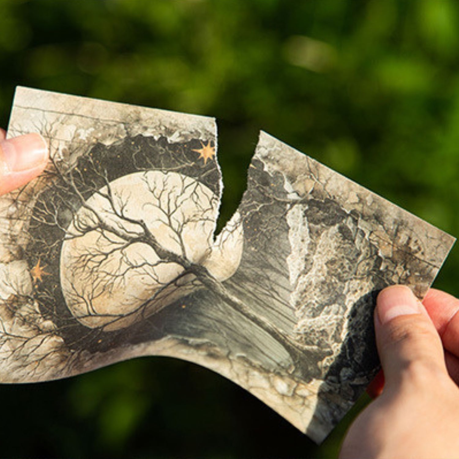 Forest Fantasy Series Fantasy Forest Theme Decorative Material Paper 14