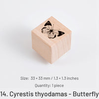 14.Cyrestis thyodamas - Butterfly