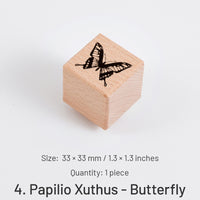 4.Papilio Xuthus - Butterfly