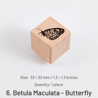 6.Betula Maculata - Butterfly