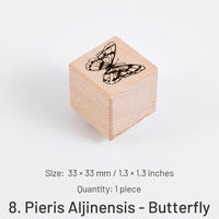 8.Pieris Aljinensis - Butterfly