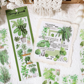 Fresh Greenery PET Stickers - Fruit, Leaf, Cactus, Plant b3