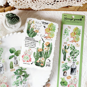 Fresh Greenery PET Stickers - Fruit, Leaf, Cactus, Plant b5