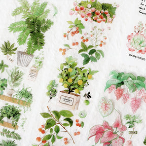 Fresh Greenery PET Stickers - Fruit, Leaf, Cactus, Plant c